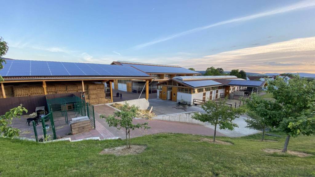 Außeransicht Pferdeklinik